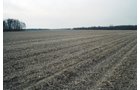 Property photo 4 - 110 Acres Offered in 3 Tracts