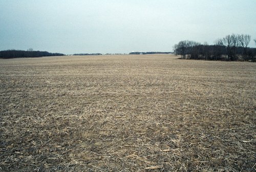 Property photo 10 - 110 Acres Offered in 3 Tracts