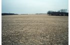 Property photo 10 - 110 Acres Offered in 3 Tracts