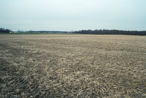 Property photo 6 - 110 Acres Offered in 3 Tracts