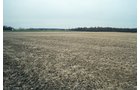 Property photo 6 - 110 Acres Offered in 3 Tracts