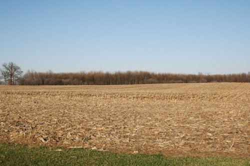 Property photo 1 - 156 Acres Offered in 4 Tracts