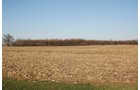 Property photo 1 - 156 Acres Offered in 4 Tracts