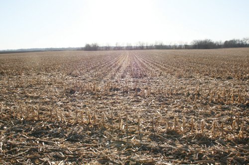 Property photo 4 - 156 Acres Offered in 4 Tracts