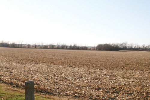 Property photo 7 - 156 Acres Offered in 4 Tracts