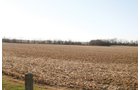 Property photo 7 - 156 Acres Offered in 4 Tracts