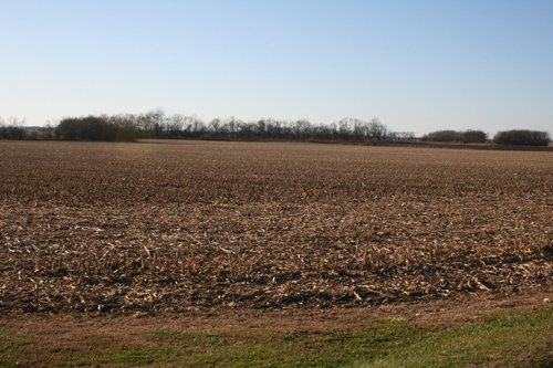 Property photo 3 - 156 Acres Offered in 4 Tracts