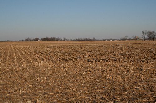 Property photo 5 - 156 Acres Offered in 4 Tracts