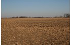 Property photo 5 - 156 Acres Offered in 4 Tracts