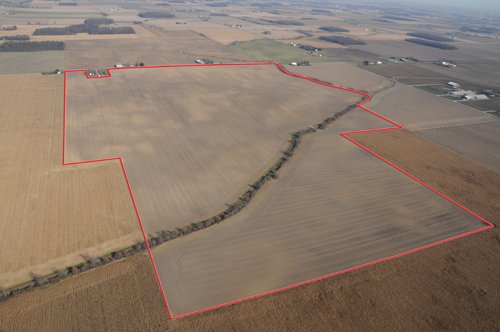 Property photo 11 - 647 Acres Offered in 9 Tracts - Prime Farmland