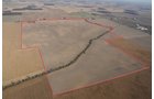 Property photo 11 - 647 Acres Offered in 9 Tracts - Prime Farmland