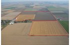 Property photo 3 - 647 Acres Offered in 9 Tracts - Prime Farmland