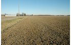 Property photo 7 - 647 Acres Offered in 9 Tracts - Prime Farmland