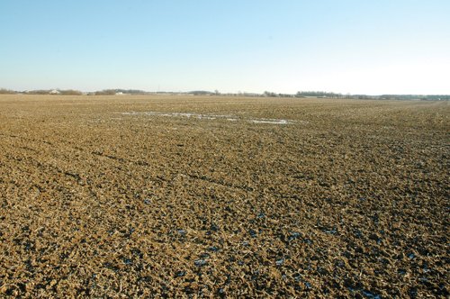 Property photo 1 - 647 Acres Offered in 9 Tracts - Prime Farmland