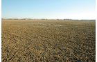 Property photo 1 - 647 Acres Offered in 9 Tracts - Prime Farmland