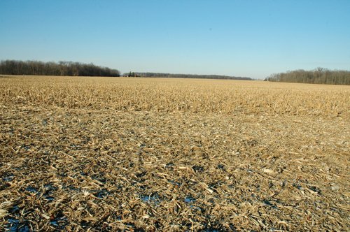Property photo 9 - 647 Acres Offered in 9 Tracts - Prime Farmland