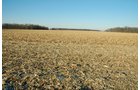 Property photo 9 - 647 Acres Offered in 9 Tracts - Prime Farmland