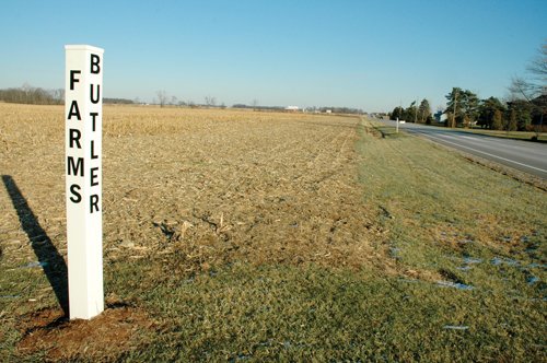 Property photo 6 - 647 Acres Offered in 9 Tracts - Prime Farmland