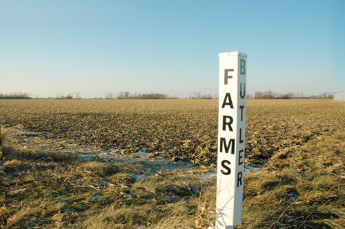 Property photo 8 - 647 Acres Offered in 9 Tracts - Prime Farmland