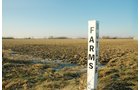 Property photo 8 - 647 Acres Offered in 9 Tracts - Prime Farmland