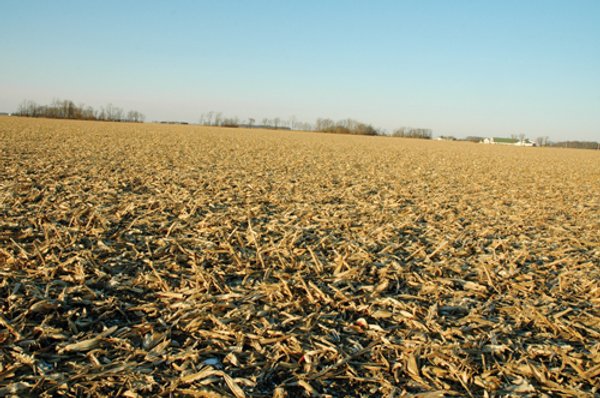 647 Acres Offered in 9 Tracts - Prime Farmland