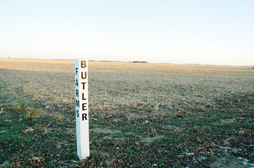 Property photo 4 - 647 Acres Offered in 9 Tracts - Prime Farmland