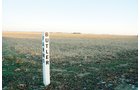 Property photo 4 - 647 Acres Offered in 9 Tracts - Prime Farmland