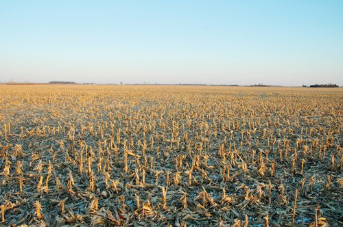 Property photo 13 - 647 Acres Offered in 9 Tracts - Prime Farmland