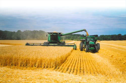 Property photo 12 - 647 Acres Offered in 9 Tracts - Prime Farmland