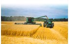 Property photo 12 - 647 Acres Offered in 9 Tracts - Prime Farmland