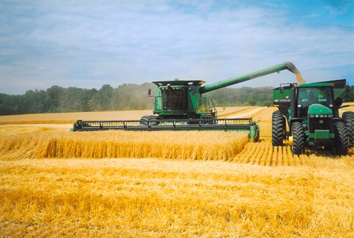 Property photo 5 - 647 Acres Offered in 9 Tracts - Prime Farmland