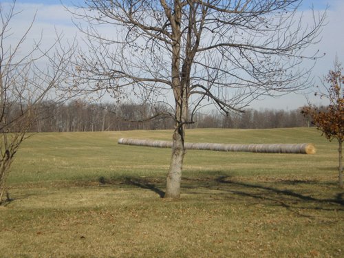 Property photo 4 - 50 Acres In 3 Tracts