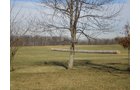 Property photo 4 - 50 Acres In 3 Tracts