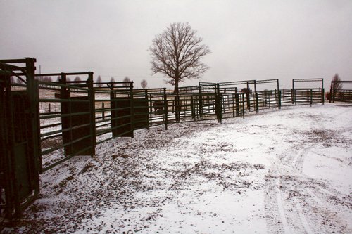 Property photo 8 - Ray Cattle Company Equipment Auction