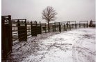 Property photo 8 - Ray Cattle Company Equipment Auction