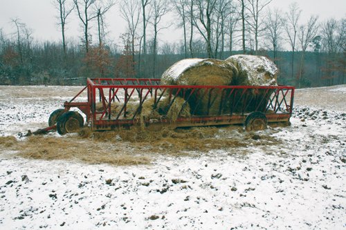 Property photo 22 - Ray Cattle Company Equipment Auction