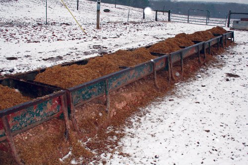 Property photo 10 - Ray Cattle Company Equipment Auction