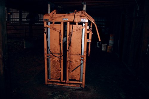 Property photo 26 - Ray Cattle Company Equipment Auction
