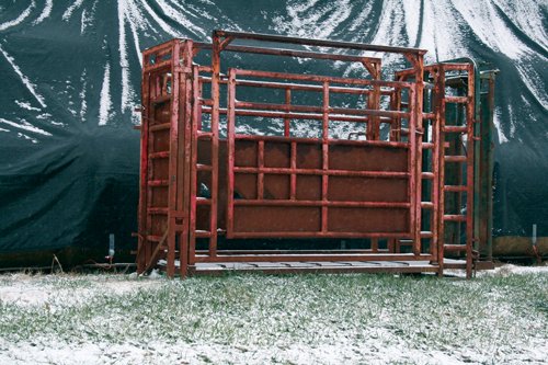 Property photo 11 - Ray Cattle Company Equipment Auction