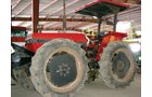 Property photo 10 - GroCo Family Farms Vegetable Equipment Auction