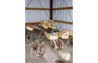 Property photo 26 - GroCo Family Farms Vegetable Equipment Auction