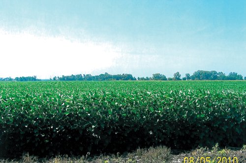 Property photo 2 - 159.5 Acres Offered in 3 Tracts