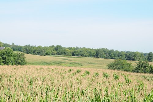 Property photo 1 - Southwest Iowa Land Auction - Productive Tillable Land, Wooded Recreational Land