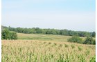 Property photo 1 - Southwest Iowa Land Auction - Productive Tillable Land, Wooded Recreational Land