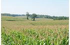 Property photo 2 - Southwest Iowa Land Auction - Productive Tillable Land, Wooded Recreational Land