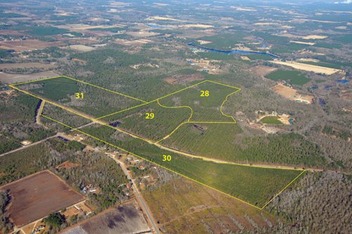 Property photo 13 - Georgia Land Auction - 1,594+/- Acres in 31 Tracts