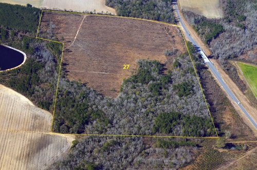 Property photo 23 - Georgia Land Auction - 1,594+/- Acres in 31 Tracts