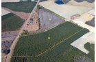 Property photo 12 - Georgia Land Auction - 1,594+/- Acres in 31 Tracts