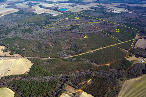 Property photo 25 - Georgia Land Auction - 1,594+/- Acres in 31 Tracts