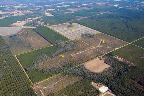 Property photo 2 - Georgia Land Auction - 1,594+/- Acres in 31 Tracts